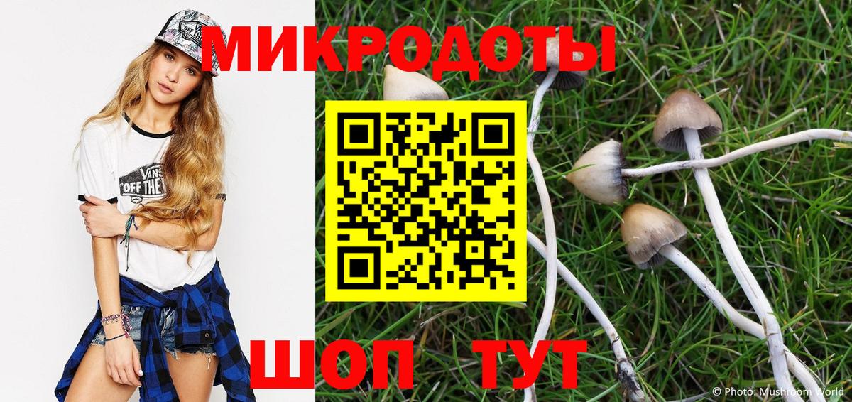 Ярцево  Галлюциногенные грибы прущие грибы  Галлюциногенные грибы ЛСД  Вход с VPN 