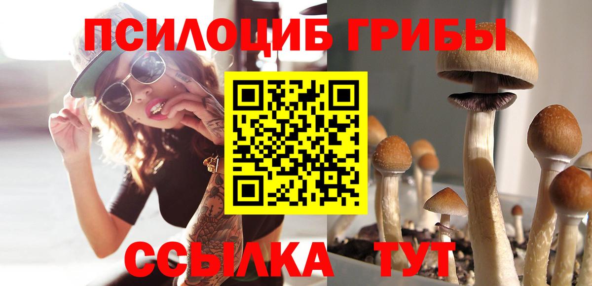 Галлюциногенные грибы мухоморы Ярцево